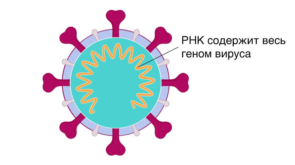 Кракен ссылка на тор